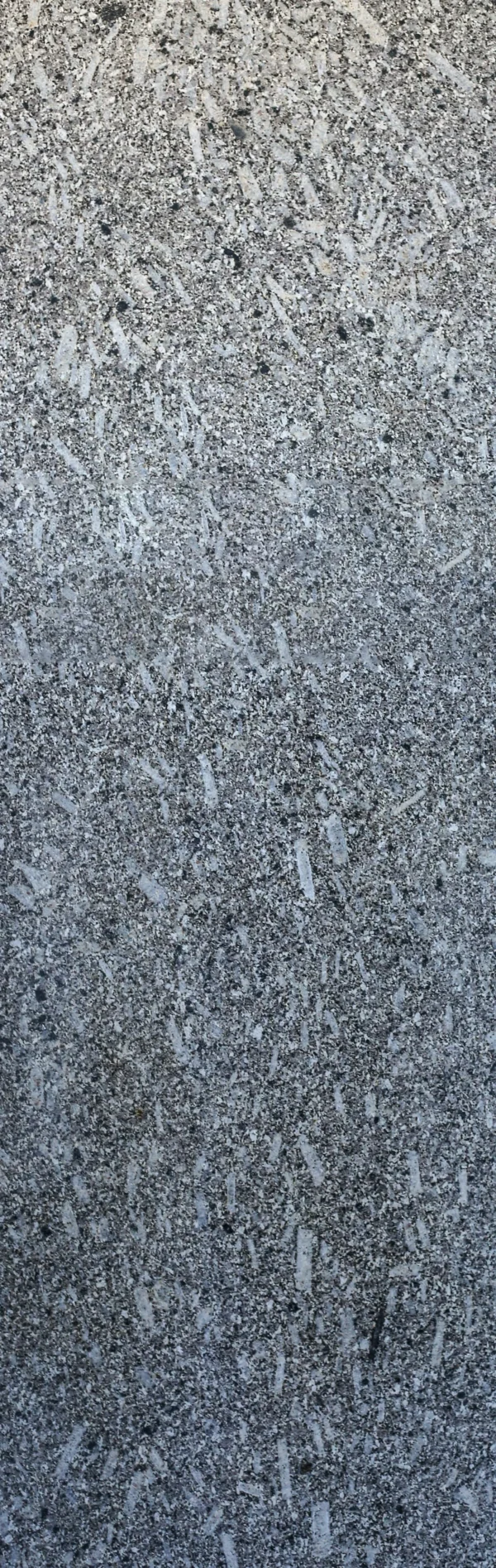 P42 - Image 2
