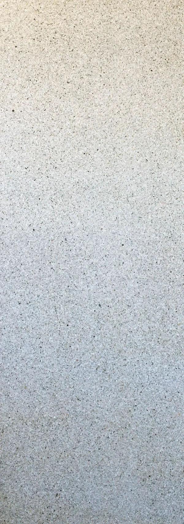 P41