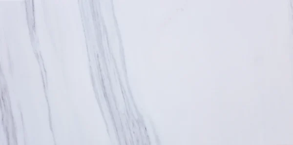 White Liner - Image 4