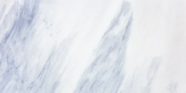 White Liner - Image 3