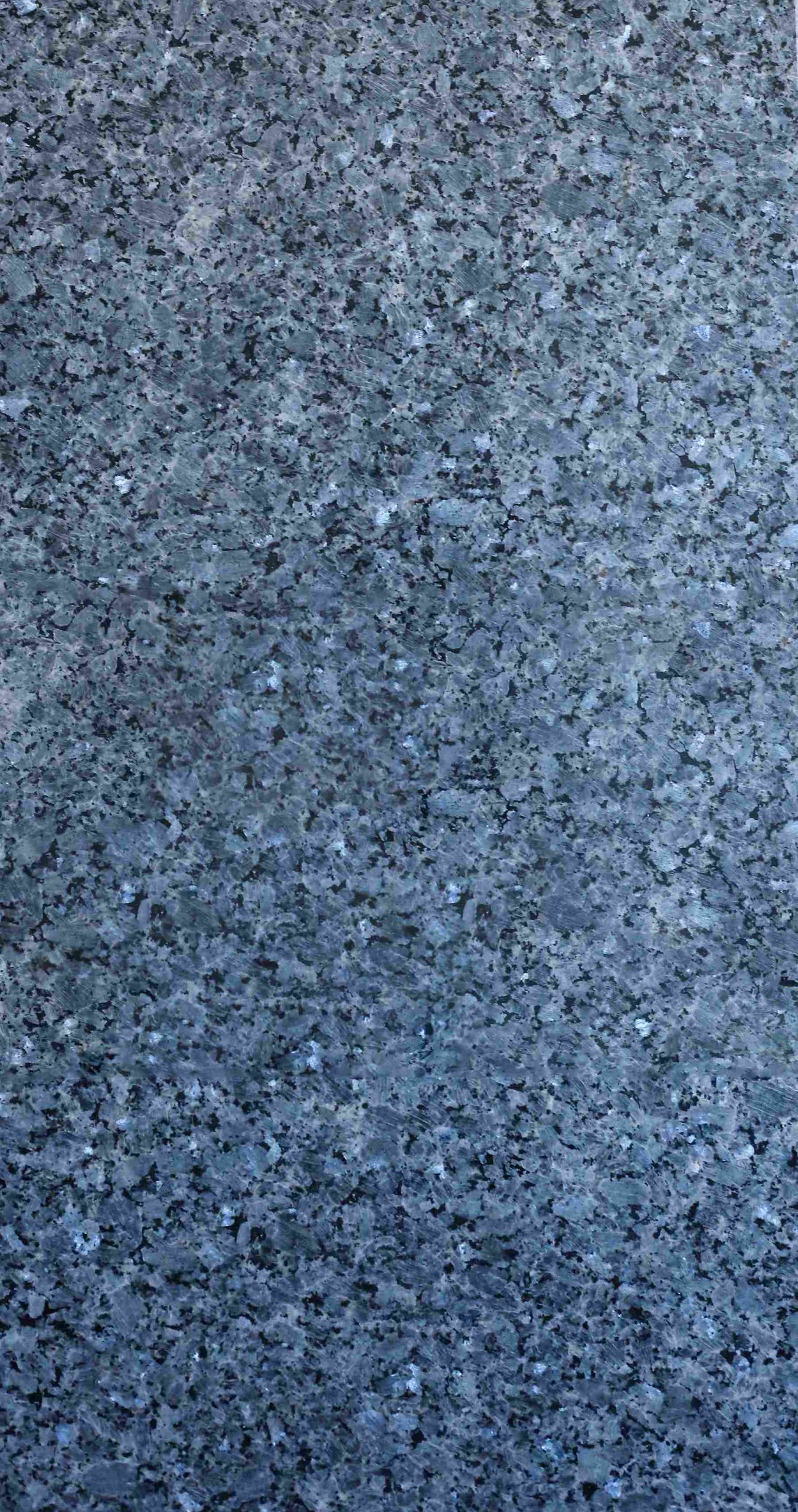 Blue Pearl - Image 2