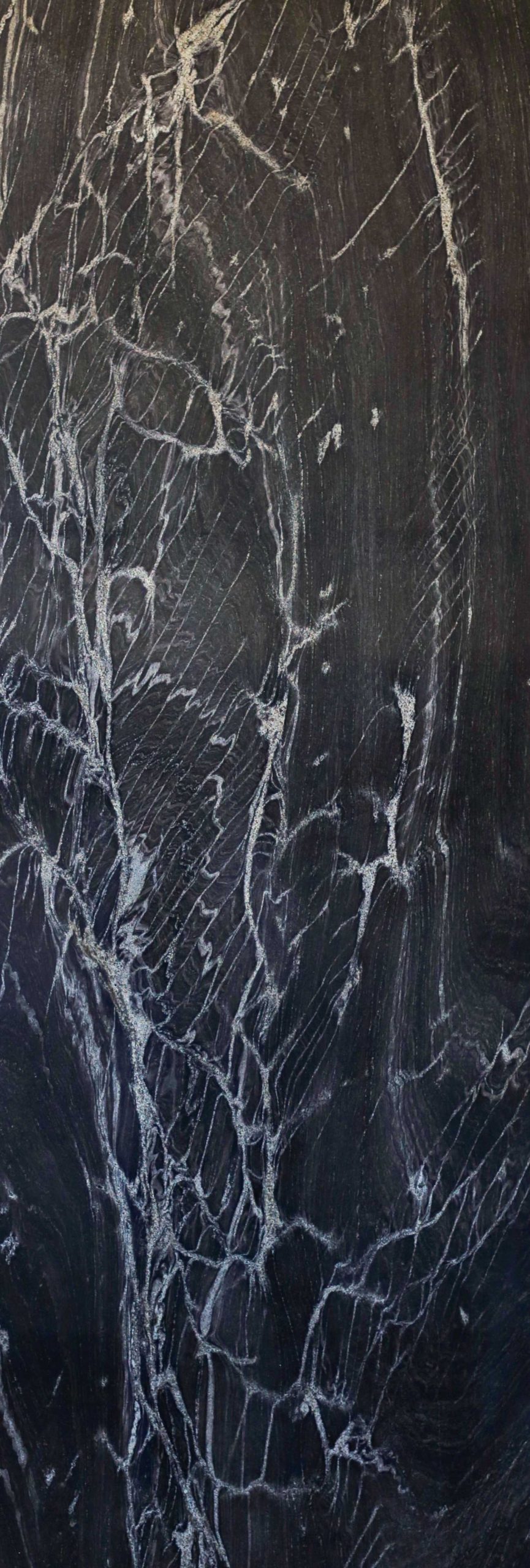 Paradiso Black & White