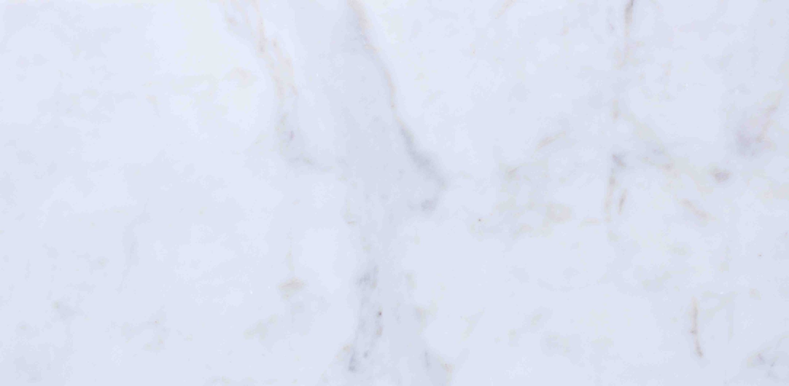 Cheetah White - Image 2