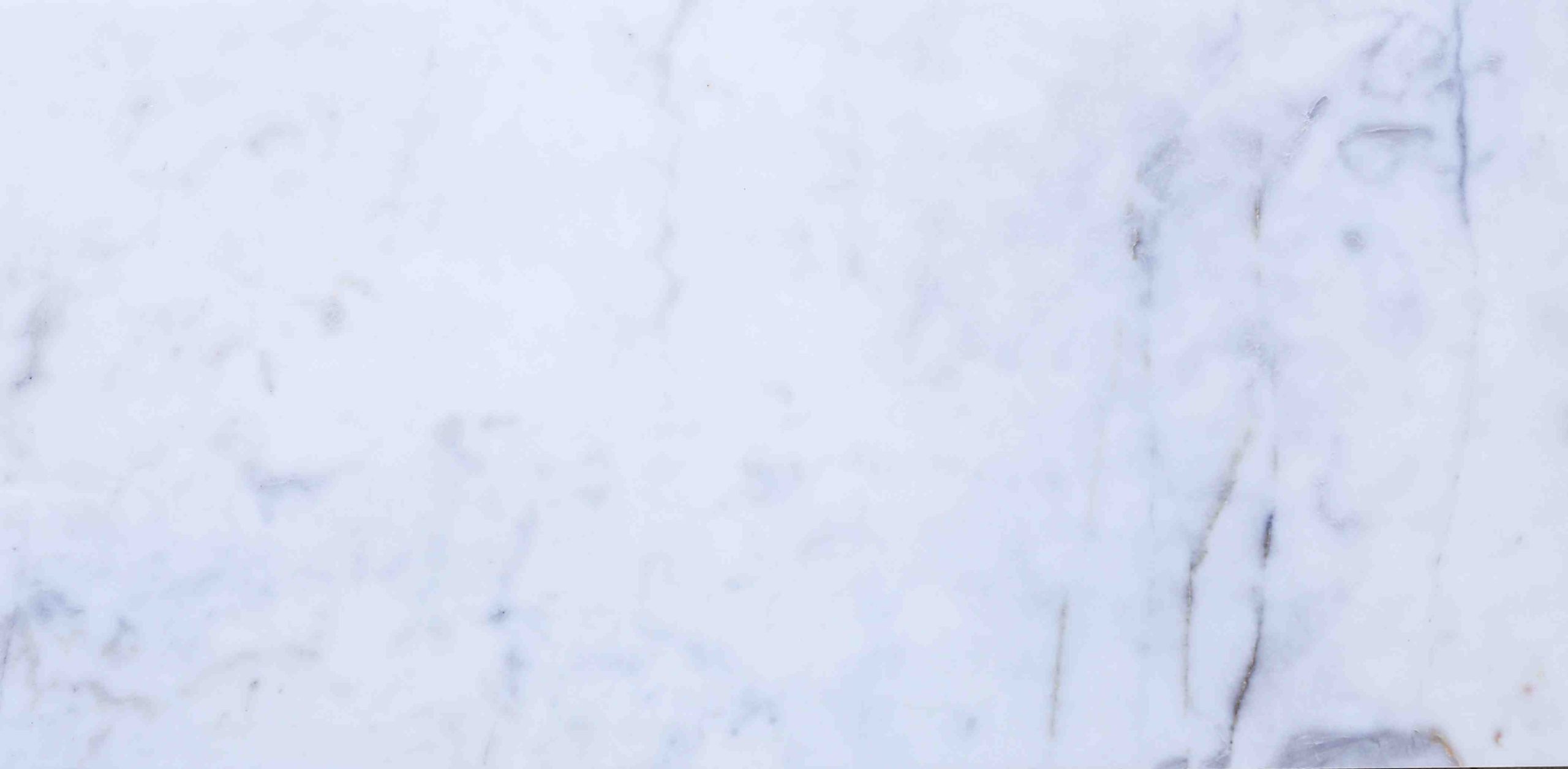 Cheetah White - Image 3