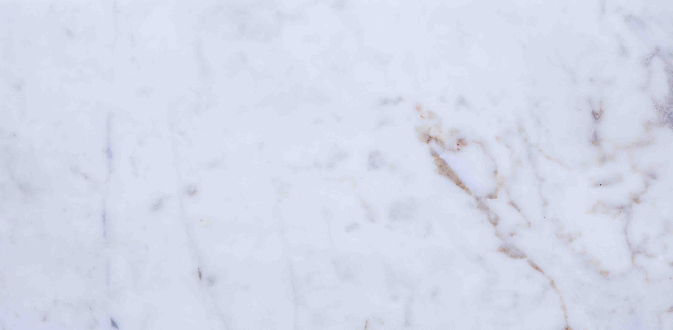 Cheetah White - Image 4